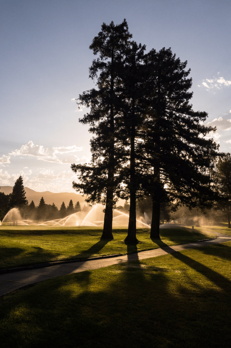 File Jan 18, 11 17 21 AM