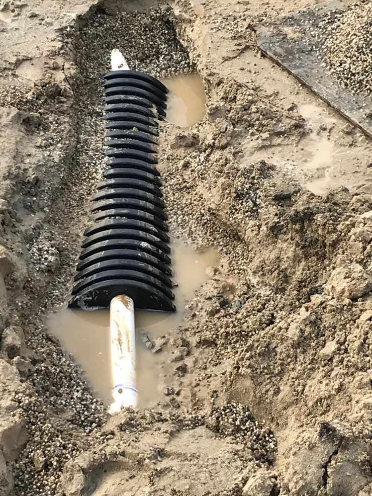 File Jan 18, 9 09 34 PM