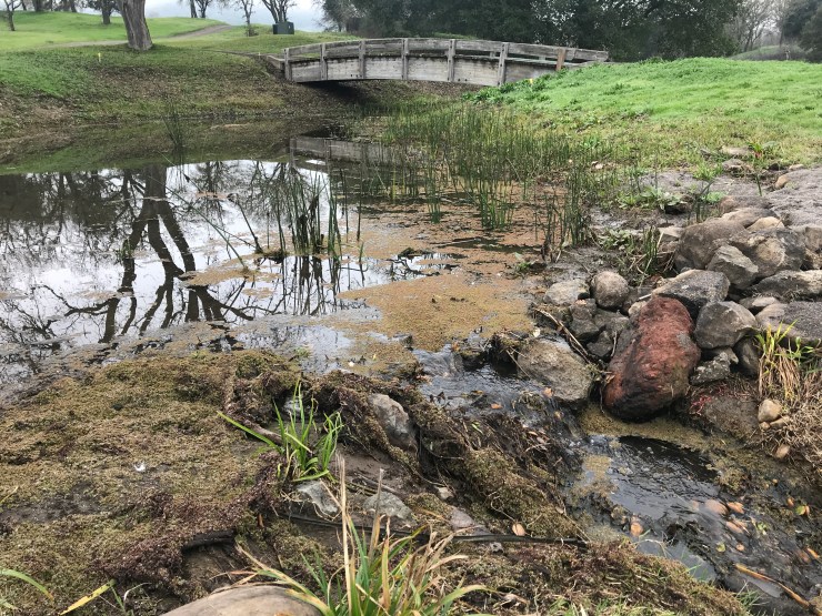 Photo Jan 17, 1 09 12 PM