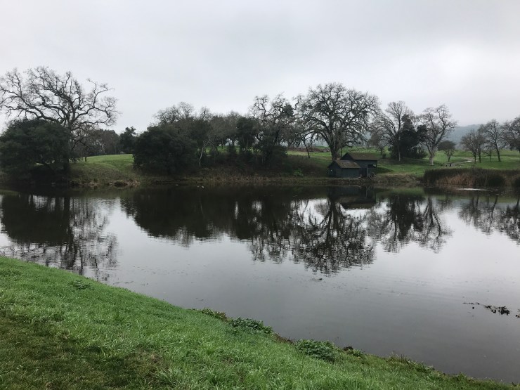 Photo Jan 17, 1 12 29 PM