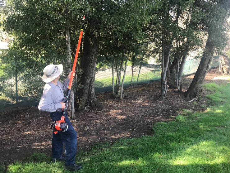 File Feb 01, 6 06 11 AM