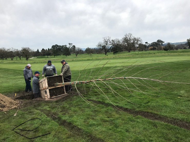 Photo Feb 12, 1 18 01 PM