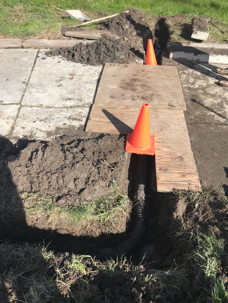 Photo Feb 20, 10 11 49 AM