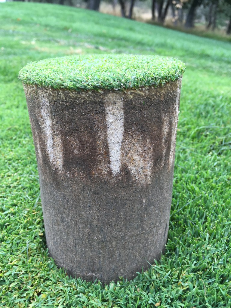 This image has an empty alt attribute; its file name is core-aeration-picture-1.jpg